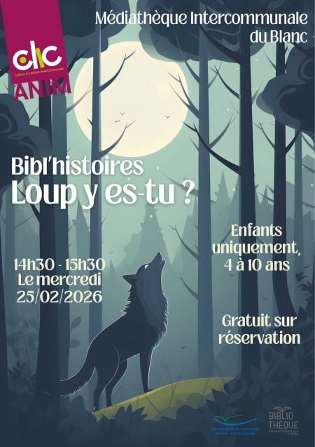 affiche bibl'histoires
