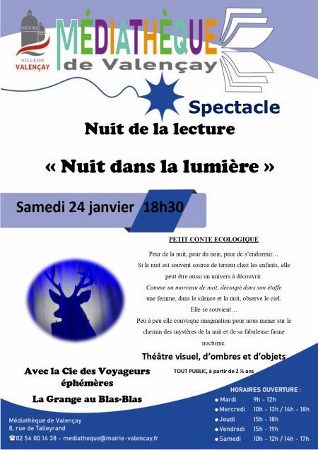 affiche spectacle