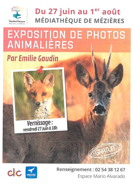 Expo photos animalieres